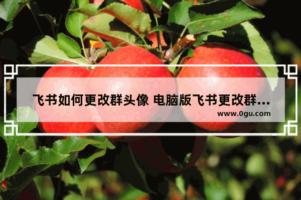 飞书如何更改群头像 电脑版飞书更改群头像的方法