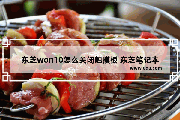 东芝won10怎么关闭触摸板 东芝笔记本触摸屏怎么开启