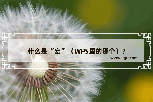 什么是“宏”（WPS里的那个）？