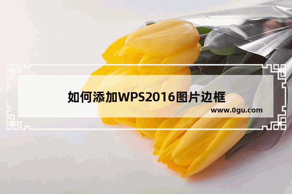 如何添加WPS2016图片边框