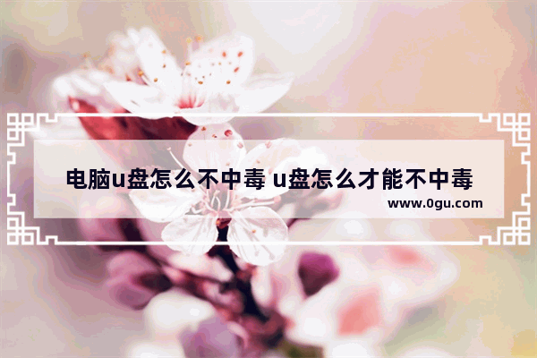 电脑u盘怎么不中毒 u盘怎么才能不中毒