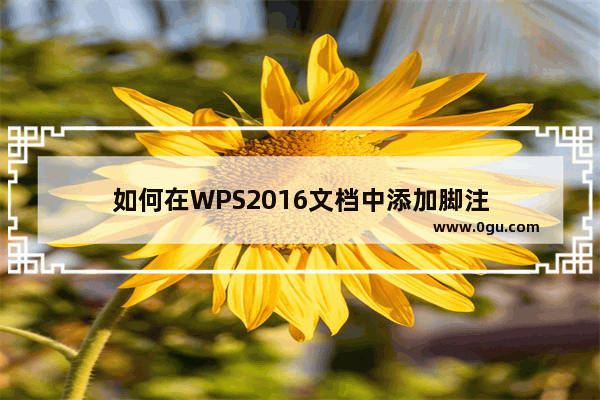 如何在WPS2016文档中添加脚注