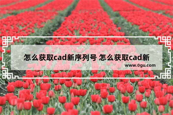 怎么获取cad新序列号 怎么获取cad新序列号信息