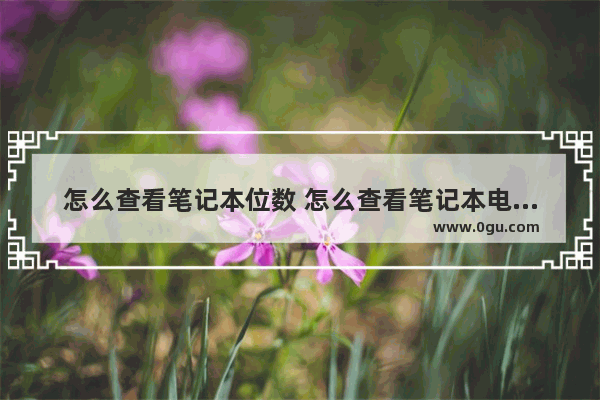 怎么查看笔记本位数 怎么查看笔记本电脑的位数