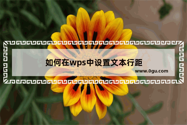 如何在wps中设置文本行距
