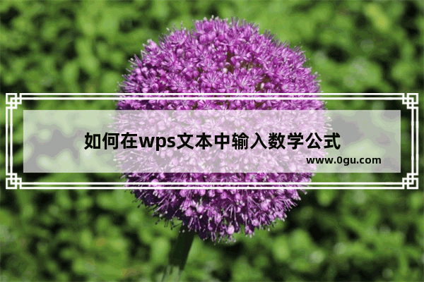 如何在wps文本中输入数学公式