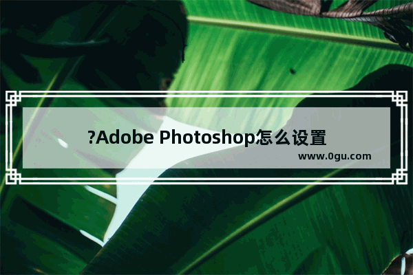 ?Adobe Photoshop怎么设置参考线数值并修改单位 PS标尺设置数值的方法教程