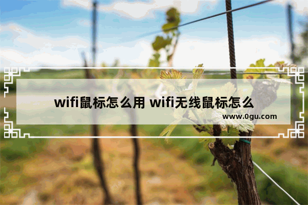 wifi鼠标怎么用 wifi无线鼠标怎么连接电脑