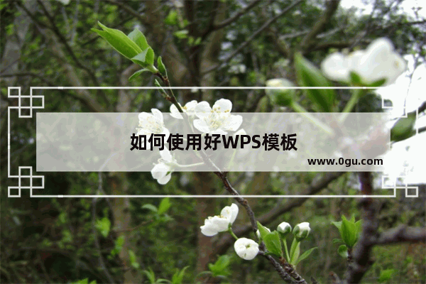 如何使用好WPS模板