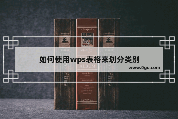 如何使用wps表格来划分类别