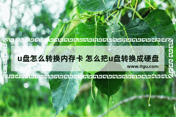 u盘怎么转换内存卡 怎么把u盘转换成硬盘