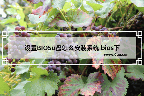 设置BIOSu盘怎么安装系统 bios下如何设置u盘启动