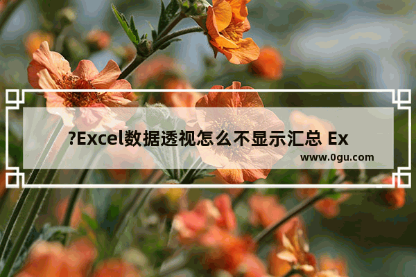 ?Excel数据透视怎么不显示汇总 Excel表格的透视表不显示汇总的方法教程