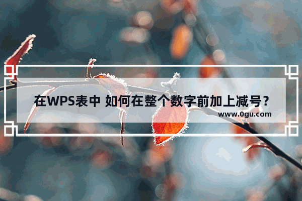 在WPS表中 如何在整个数字前加上减号？