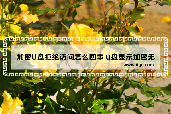 加密U盘拒绝访问怎么回事 u盘显示加密无法读取