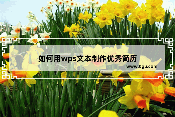 如何用wps文本制作优秀简历