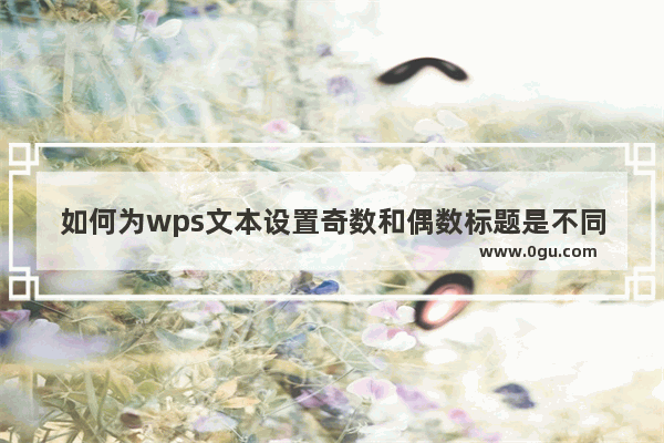 如何为wps文本设置奇数和偶数标题是不同的