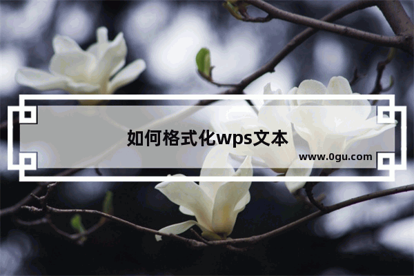 如何格式化wps文本