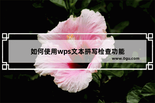 如何使用wps文本拼写检查功能