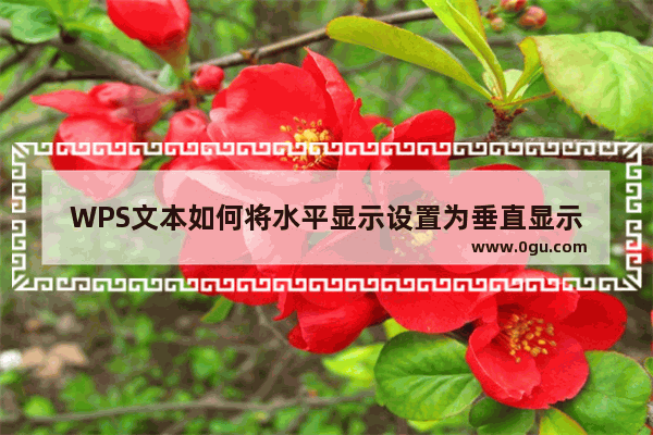 WPS文本如何将水平显示设置为垂直显示