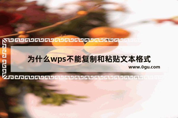 为什么wps不能复制和粘贴文本格式