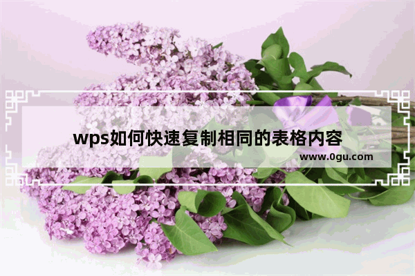 wps如何快速复制相同的表格内容