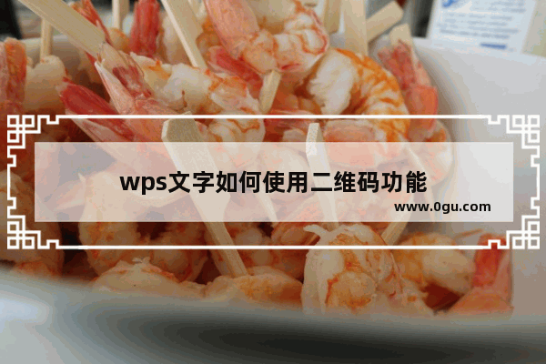 wps文字如何使用二维码功能