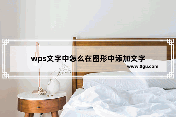 wps文字中怎么在图形中添加文字