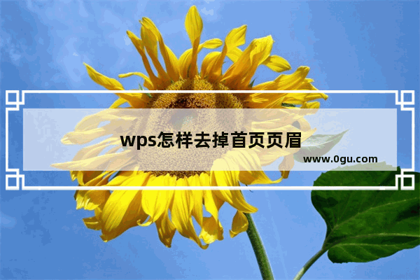 wps怎样去掉首页页眉