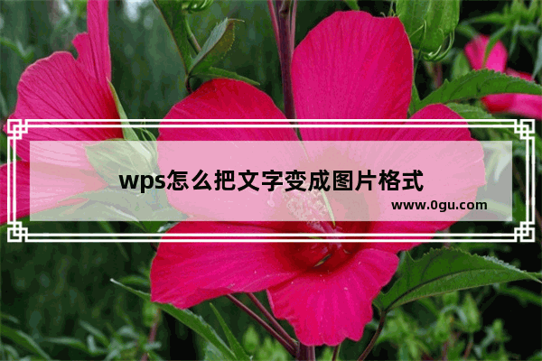 wps怎么把文字变成图片格式