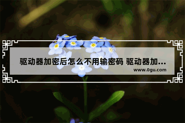 驱动器加密后怎么不用输密码 驱动器加密后怎么不用输密码了