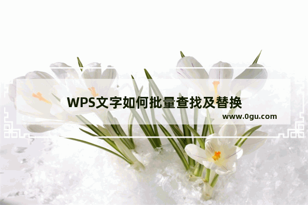 WPS文字如何批量查找及替换
