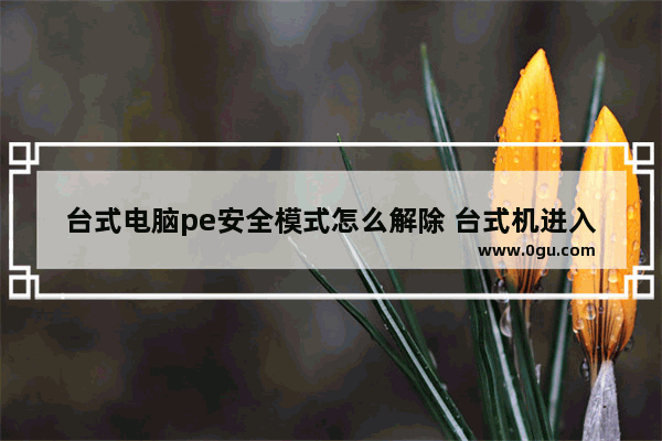 台式电脑pe安全模式怎么解除 台式机进入pe按什么键