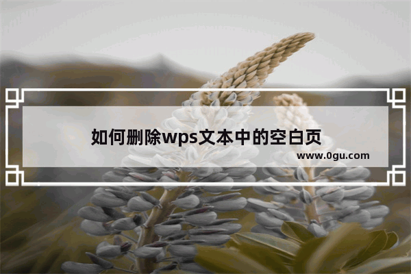 如何删除wps文本中的空白页