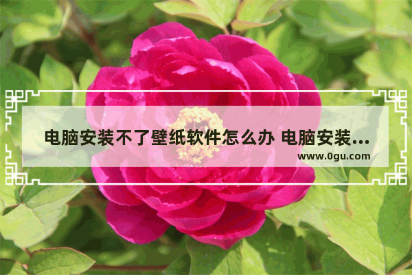 电脑安装不了壁纸软件怎么办 电脑安装壁纸对电脑有影响吗