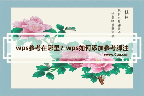 wps参考在哪里？wps如何添加参考脚注