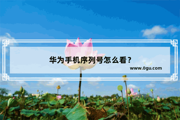 华为手机序列号怎么看？