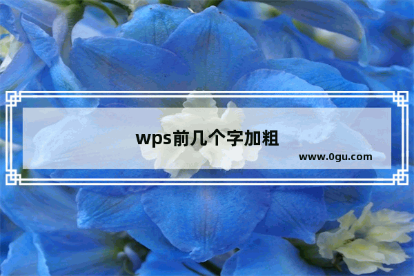 wps前几个字加粗
