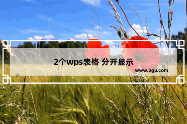 2个wps表格 分开显示