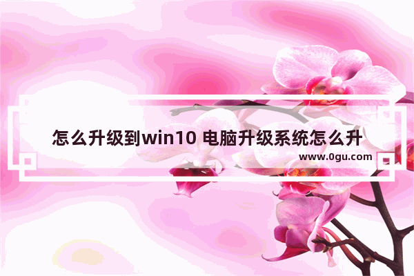 怎么升级到win10 电脑升级系统怎么升级到win10