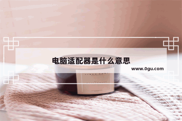电脑适配器是什么意思