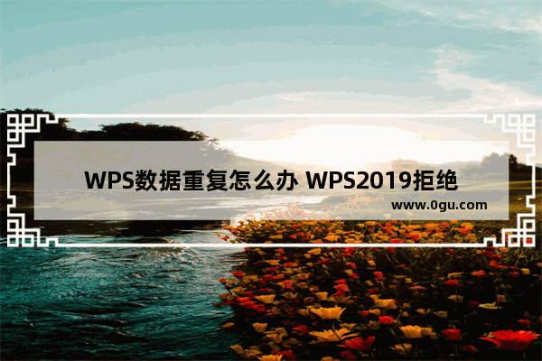WPS数据重复怎么办 WPS2019拒绝录入重复项如何使用