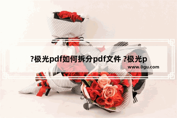?极光pdf如何拆分pdf文件 ?极光pdf拆分pdf文件的方法