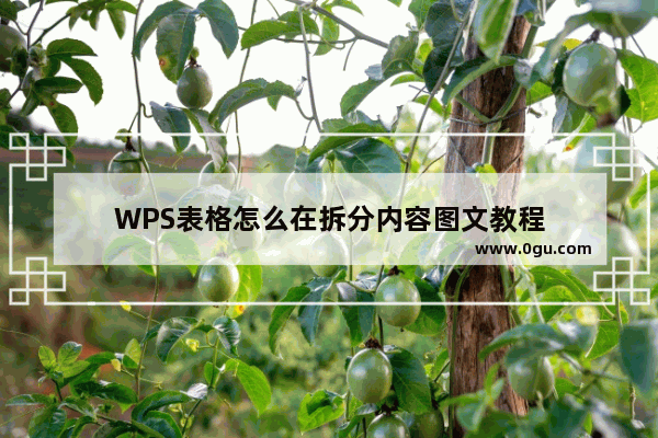 WPS表格怎么在拆分内容图文教程