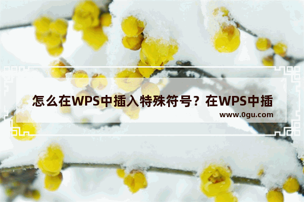 怎么在WPS中插入特殊符号？在WPS中插入特殊符号的方法