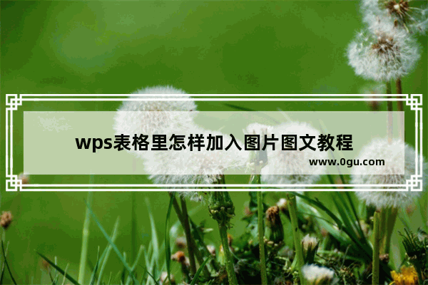 wps表格里怎样加入图片图文教程
