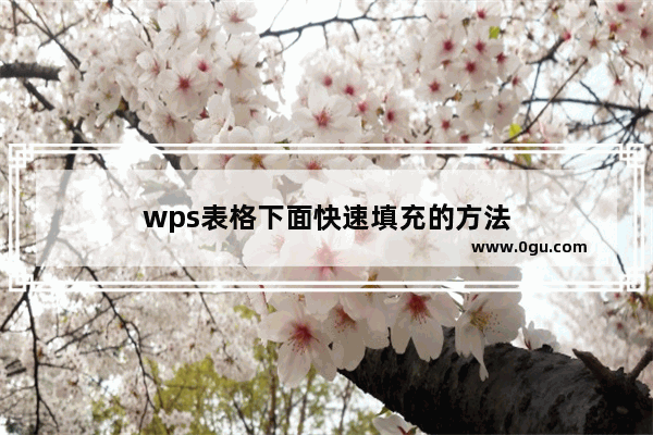 wps表格下面快速填充的方法