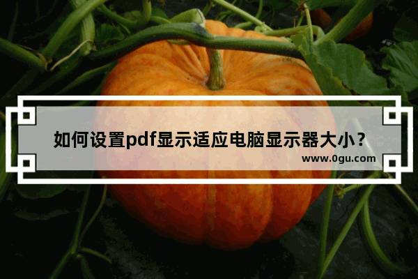 如何设置pdf显示适应电脑显示器大小？