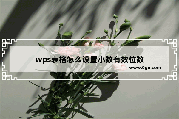 wps表格怎么设置小数有效位数