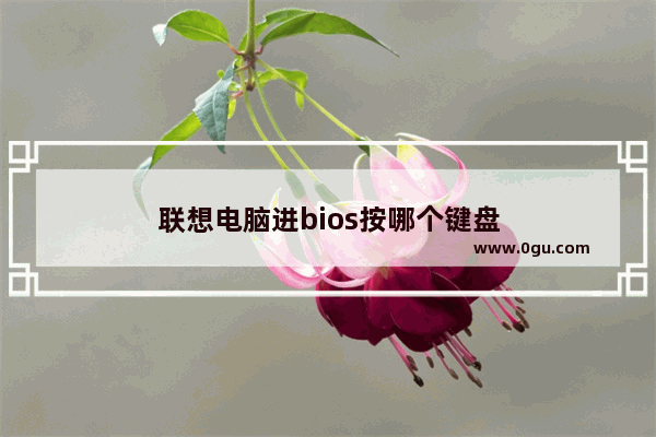 联想电脑进bios按哪个键盘